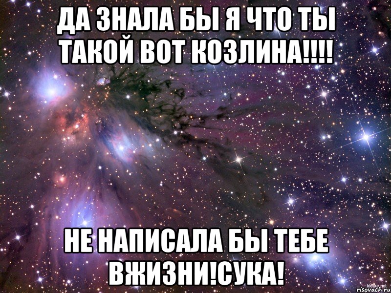 да знала бы я что ты такой вот козлина!!! не написала бы тебе вжизни!сука!, Мем Космос