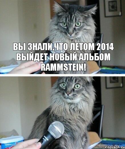Вы знали,что летом 2014 выйдет новый альбом Rammstein!, Комикс  кот с микрофоном