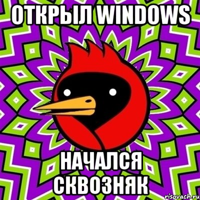 открыл windows начался сквозняк, Мем Омская птица
