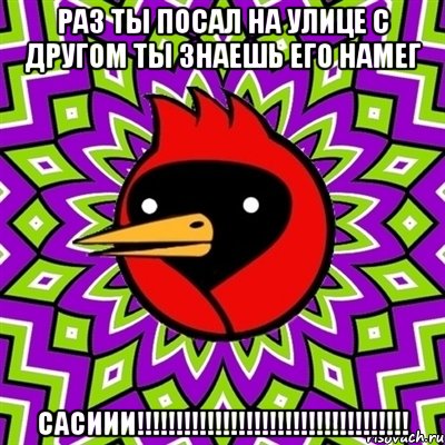 раз ты посал на улице с другом ты знаешь его намег сасиии!!!, Мем Омская птица