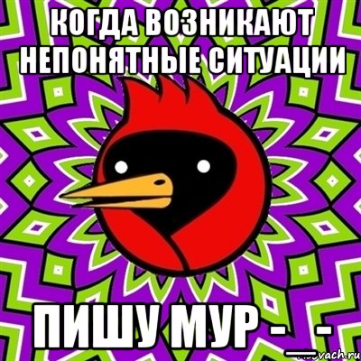 когда возникают непонятные ситуации пишу мур -_-, Мем Омская птица