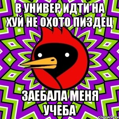 в универ идти на хуй не охото пиздец заебала меня учеба, Мем Омская птица