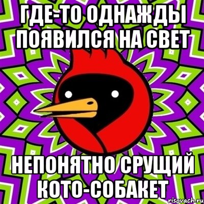 где-то однажды появился на свет непонятно срущий кото-собакет, Мем Омская птица