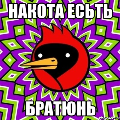 накота есьть братюнь, Мем Омская птица