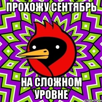 прохожу сентябрь на сложном уровне, Мем Омская птица
