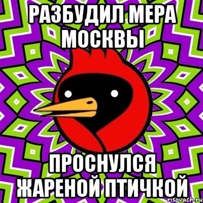 разбудил мера москвы проснулся жареной птичкой, Мем Омская птица