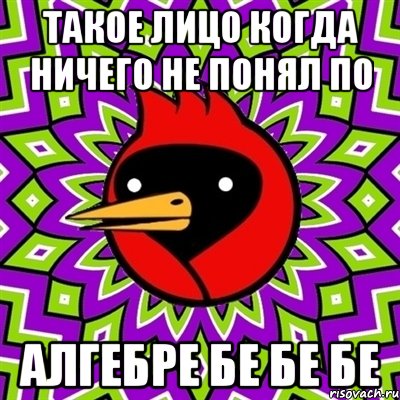 такое лицо когда ничего не понял по алгебре бе бе бе, Мем Омская птица