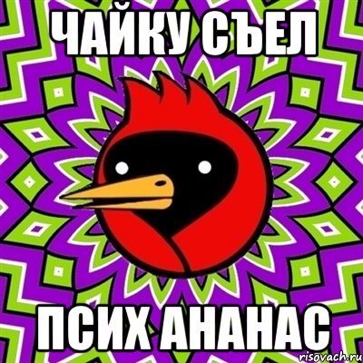 чайку съел псих ананас, Мем Омская птица