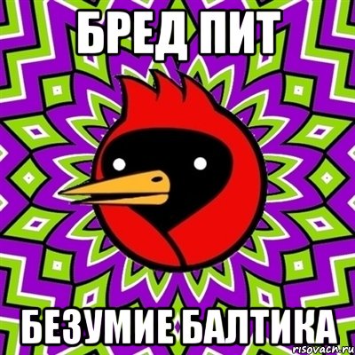 бред пит безумие балтика, Мем Омская птица