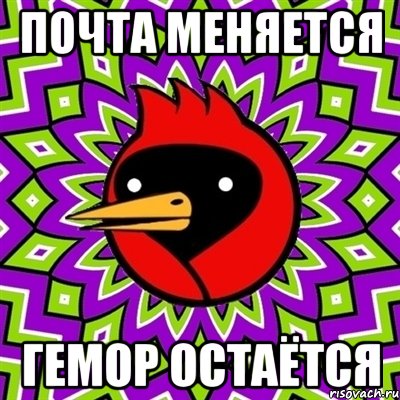 почта меняется гемор остаётся, Мем Омская птица