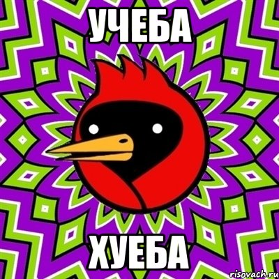 учеба хуеба, Мем Омская птица