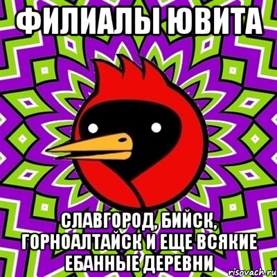 филиалы ювита славгород, бийск, горноалтайск и еще всякие ебанные деревни, Мем Омская птица
