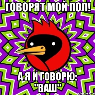 говорят мой пол! а я и говорю: "ваш", Мем Омская птица
