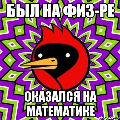 был на физ-ре оказался на математике, Мем Омская птица