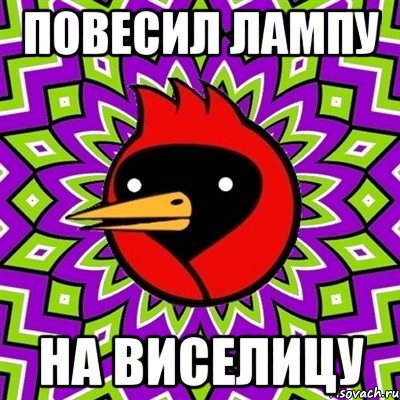 повесил лампу на виселицу, Мем Омская птица