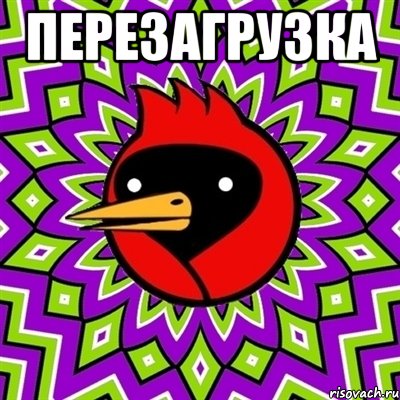 перезагрузка , Мем Омская птица
