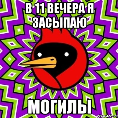 в 11 вечера я засыпаю могилы, Мем Омская птица