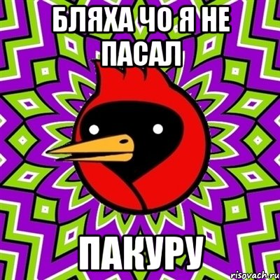 бляха чо я не пасал пакуру, Мем Омская птица