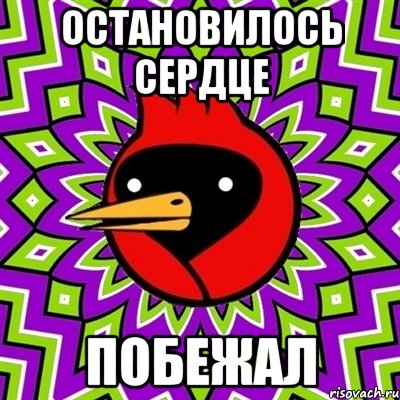 остановилось сердце побежал, Мем Омская птица