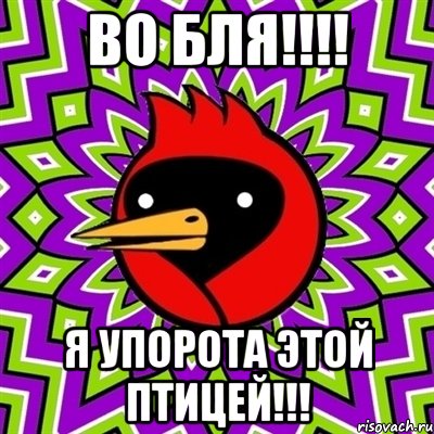 во бля!!! я упорота этой птицей!!!, Мем Омская птица