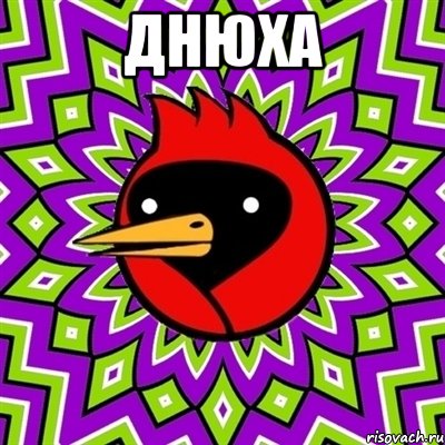 днюха , Мем Омская птица