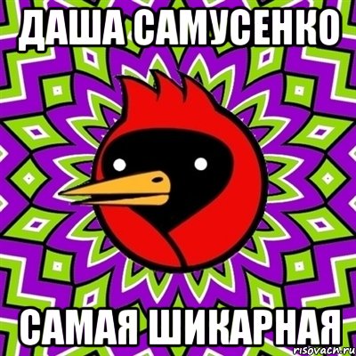даша самусенко самая шикарная, Мем Омская птица