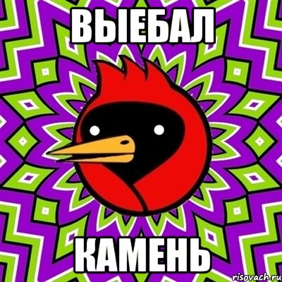 выебал камень, Мем Омская птица
