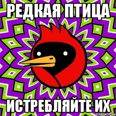 редкая птица истребляйте их, Мем Омская птица