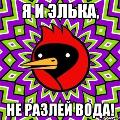 я и элька, не разлей вода!, Мем Омская птица