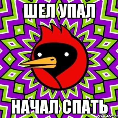 шел упал начал спать, Мем Омская птица