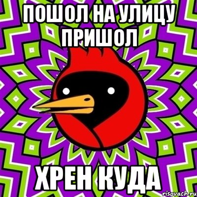 пошол на улицу пришол хрен куда, Мем Омская птица