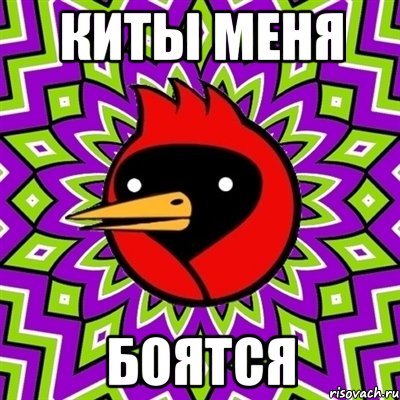 киты меня боятся, Мем Омская птица