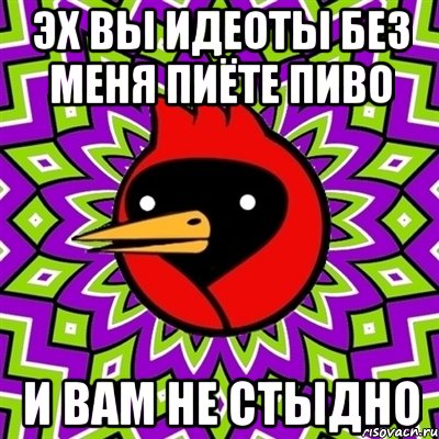эх вы идеоты без меня пиёте пиво и вам не стыдно, Мем Омская птица