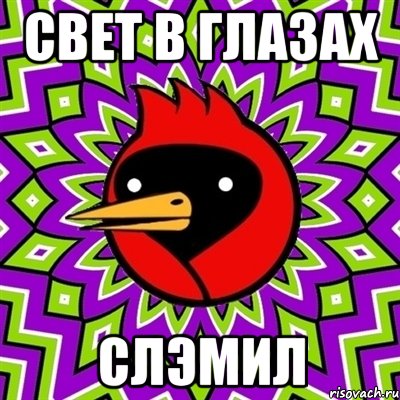 свет в глазах слэмил, Мем Омская птица