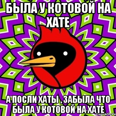 была у котовой на хате а посли хаты , забыла что была у котовой на хате, Мем Омская птица