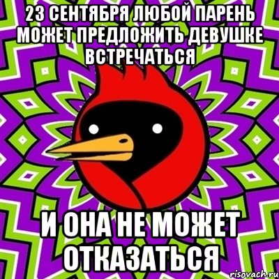 23 сентября любой парень может предложить девушке встречаться и она не может отказаться, Мем Омская птица