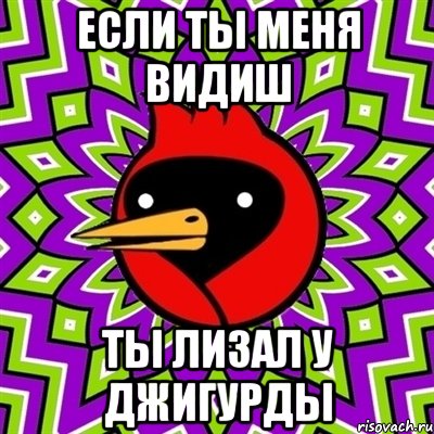 если ты меня видиш ты лизал у джигурды, Мем Омская птица