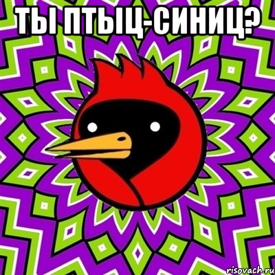 ты птыц-синиц? , Мем Омская птица