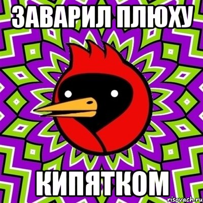 заварил плюху кипятком, Мем Омская птица