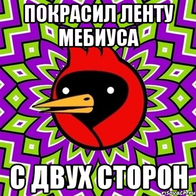 покрасил ленту мебиуса с двух сторон, Мем Омская птица