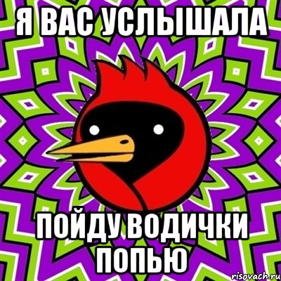 я вас услышала пойду водички попью, Мем Омская птица