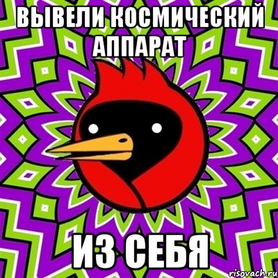 вывели космический аппарат из себя, Мем Омская птица