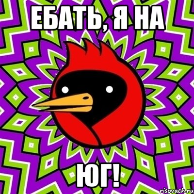 ебать, я на юг!, Мем Омская птица