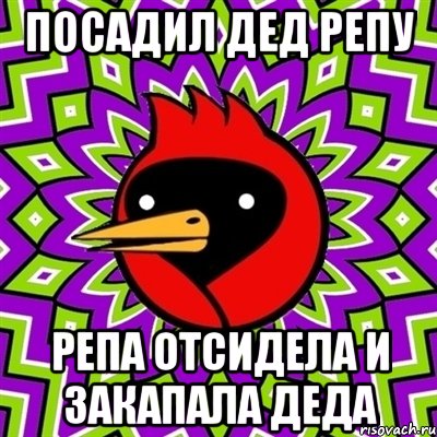 посадил дед репу репа отсидела и закапала деда, Мем Омская птица
