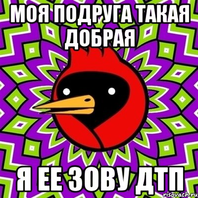 моя подруга такая добрая я ее зову дтп, Мем Омская птица