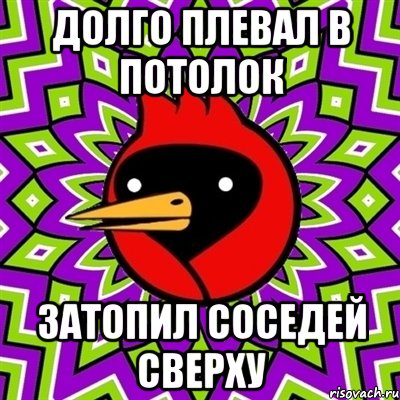 долго плевал в потолок затопил соседей сверху, Мем Омская птица