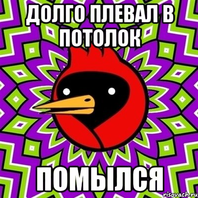 долго плевал в потолок помылся, Мем Омская птица