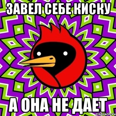 завел себе киску а она не дает, Мем Омская птица