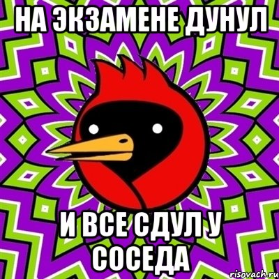 на экзамене дунул и все сдул у соседа, Мем Омская птица