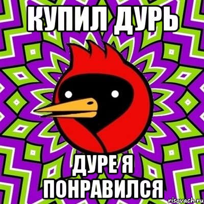 купил дурь дуре я понравился, Мем Омская птица